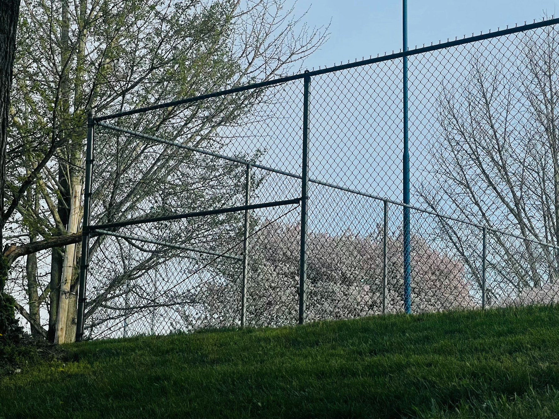 Bluffton's Trusted Security Fence Company project, Bluffton Fence & Gutter